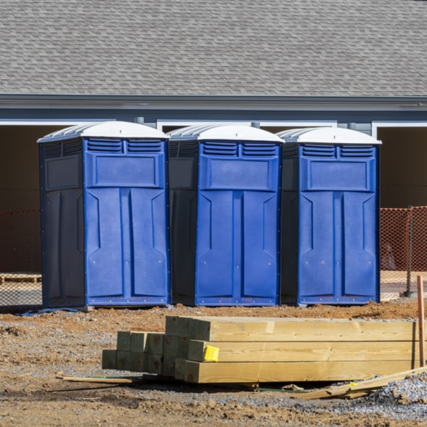 are there different sizes of portable toilets available for rent in Pleasant Dale